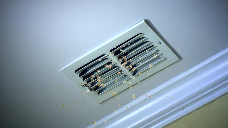  Monte Vista, CO Airduct Cleaning Pros