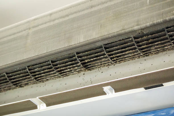 Best Air Duct Cleaning Near Me  in Monte Vista, CO